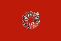 雁塔区回收红酒